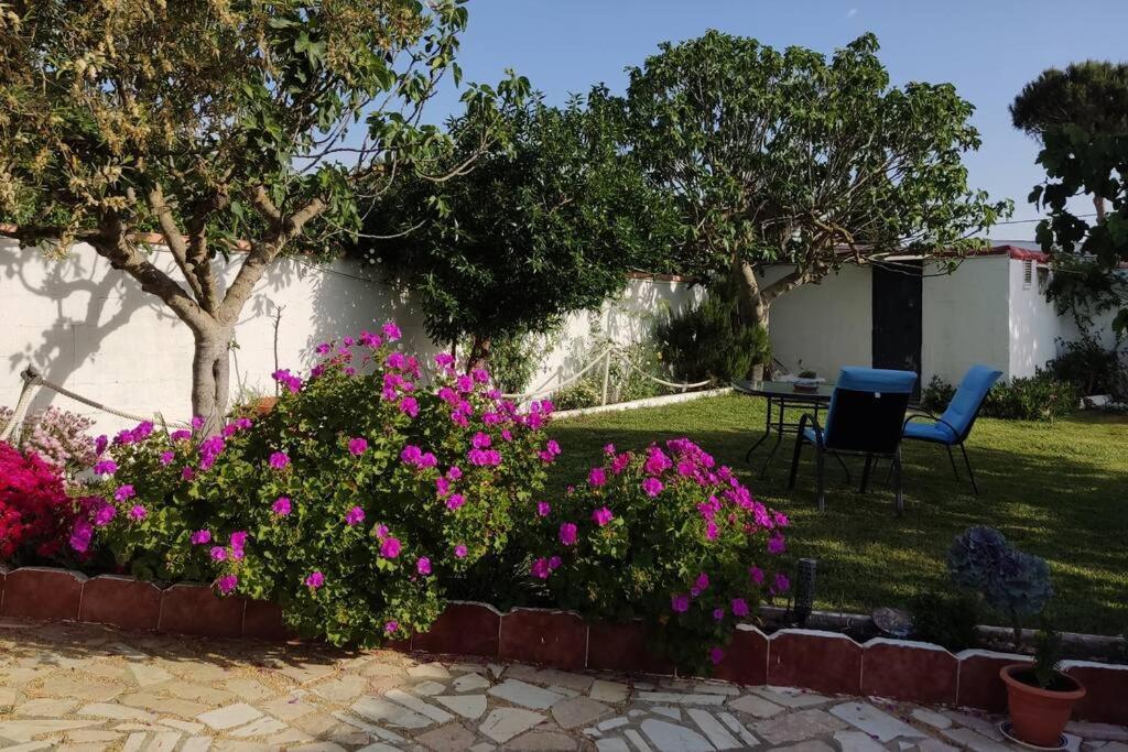 Casa Con Piscina Privada Y Jardin Villa Chiclana de la Frontera Eksteriør bilde